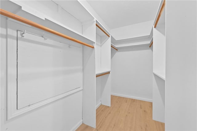 walk in closet featuring light wood-type flooring