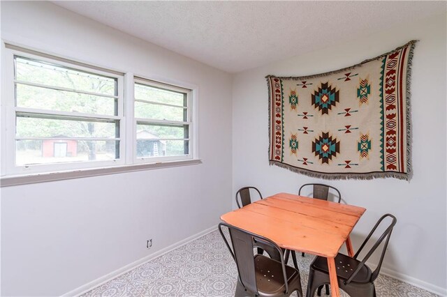 dining room with a textured ceiling