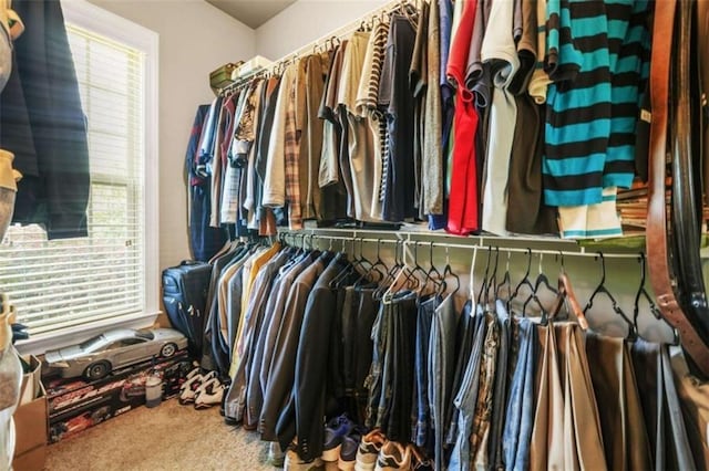 229 Primstone Way, Mcdonough, GA 30253 - spacious closet featuring carpet floors