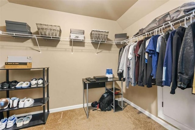 229 Primstone Way, Mcdonough, GA 30253 - walk in closet featuring carpet floors and vaulted ceiling
