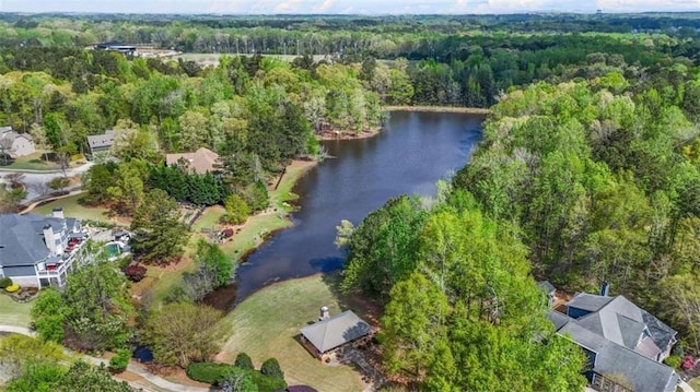 229 Primstone Way, Mcdonough, GA 30253 - aerial view of property's location featuring a heavily wooded area and a large body of water