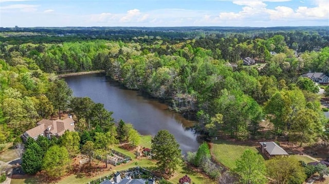 229 Primstone Way, Mcdonough, GA 30253 - aerial view of property and surrounding area with a forest and a nearby body of water