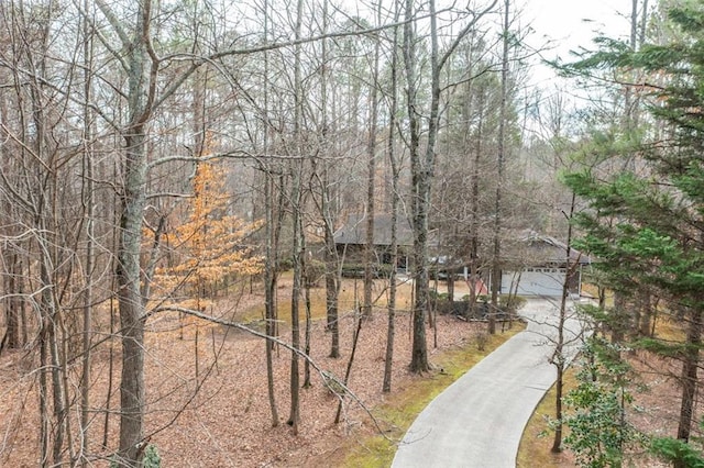 exterior space with concrete driveway