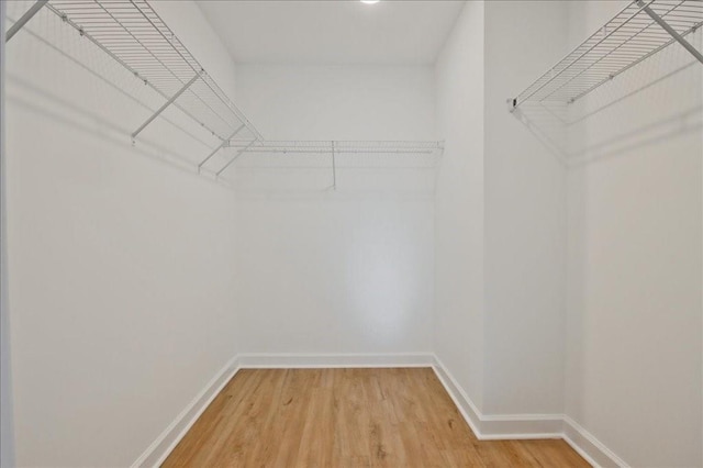 spacious closet with wood-type flooring