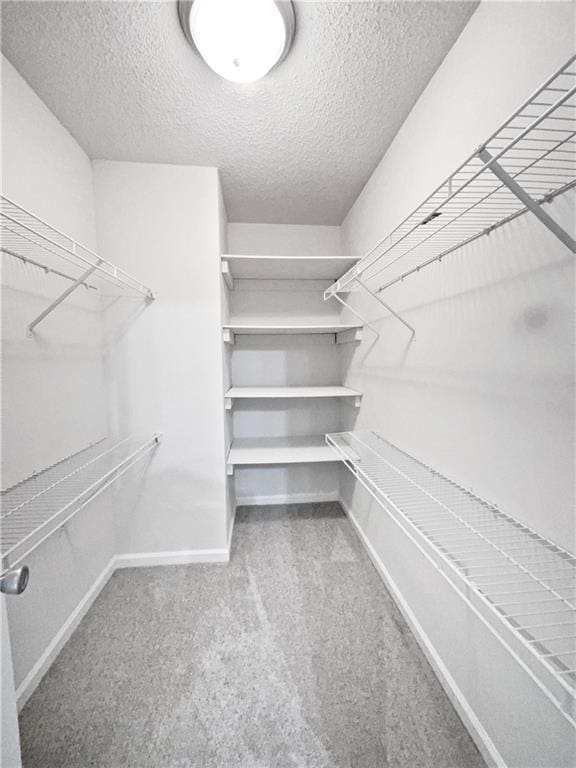 63 Couch Rd, Senoia, GA 30276 - walk in closet with carpet floors