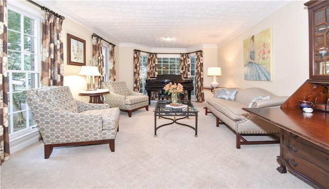 carpeted living room with ornamental molding and a textured ceiling