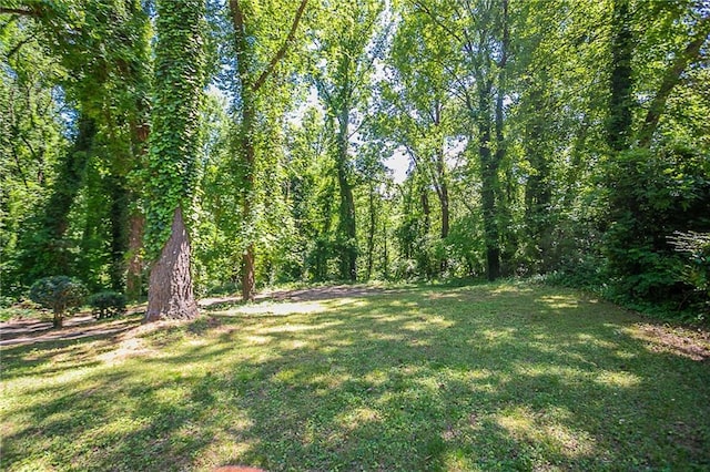 2755 Rockcliff Rd SE, Atlanta, GA 30316 - view of grassy yard with a view of trees