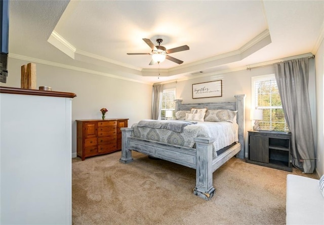 carpeted bedroom featuring a tray ceiling and multiple windows