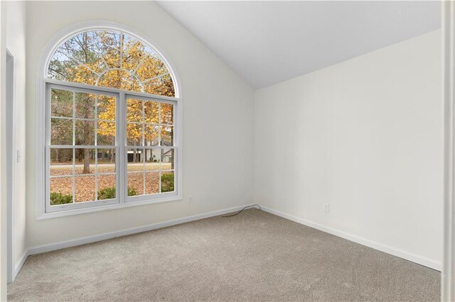 empty room featuring carpet, lofted ceiling, and a wealth of natural light