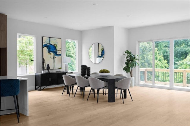 1610 Niskey Lake Rd, Atlanta, GA 30331 - dining space with healthy amount of natural light and light wood-type flooring