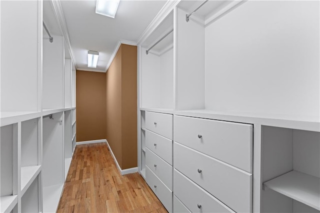 walk in closet featuring light hardwood / wood-style flooring