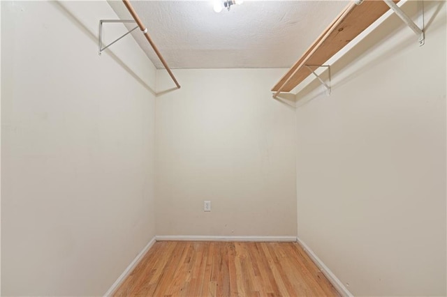 spacious closet with hardwood / wood-style floors