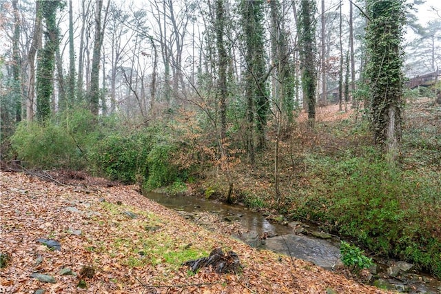 view of local wilderness