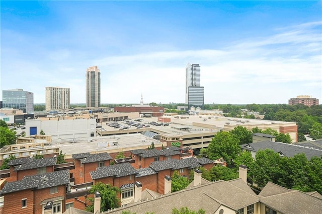 3475 Oak Valley Rd NE Unit 950, Atlanta, GA 30326 - view of city