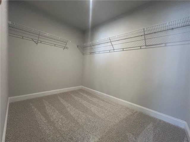 spacious closet featuring carpet flooring