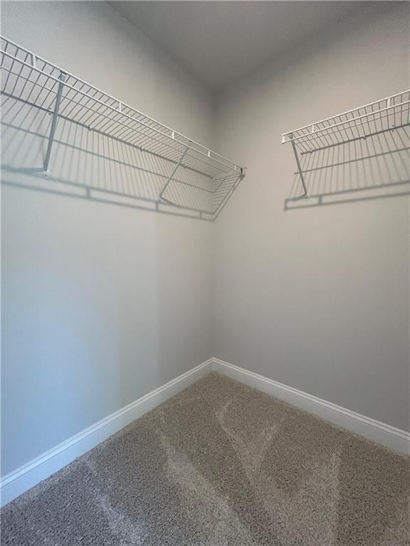 walk in closet featuring carpet floors