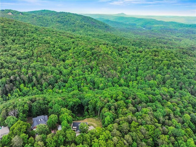 205 Crooked Pine Trl, Baldwin, GA 30511 - aerial view of property's location with a heavily wooded area and mountains