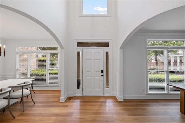 602 Davenport Pl, Canton, GA 30115 - entryway with healthy amount of natural light, light wood-style floors, baseboards, a high ceiling, and crown molding
