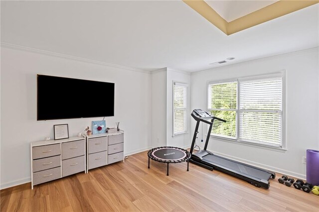 602 Davenport Pl, Canton, GA 30115 - exercise room featuring ornamental molding, light wood-style floors, and baseboards