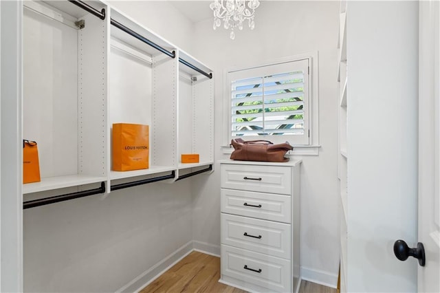 walk in closet with an inviting chandelier and light hardwood / wood-style flooring