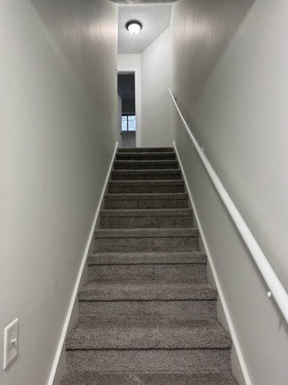 staircase with carpet floors