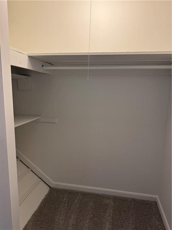 spacious closet featuring carpet