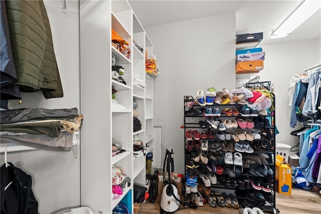 spacious closet with hardwood / wood-style flooring