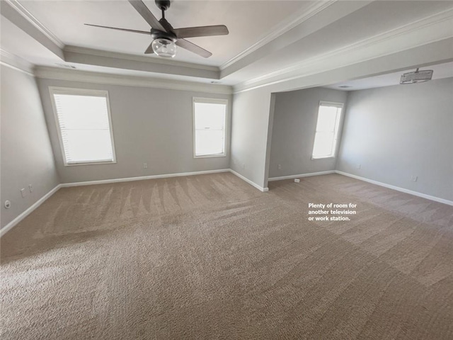 carpeted empty room with a raised ceiling, plenty of natural light, and crown molding