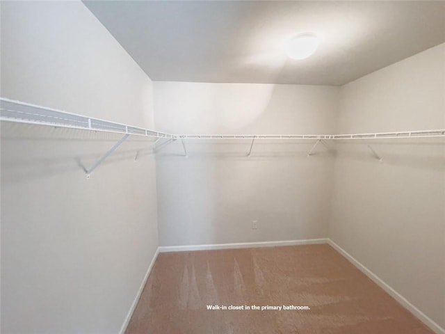 spacious closet featuring carpet floors