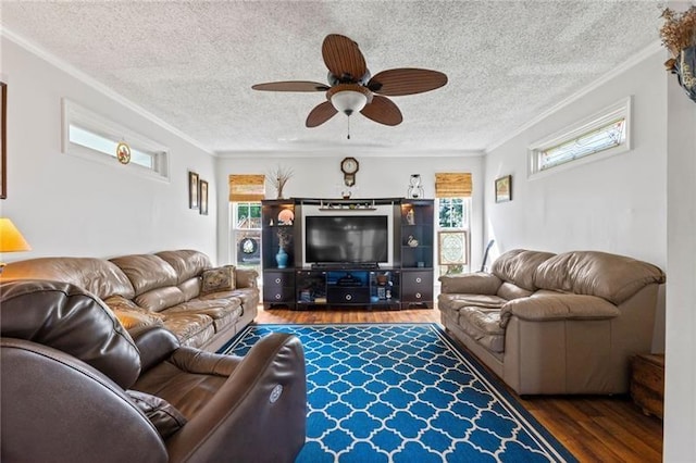 living room featuring ceiling fan, plenty of natural light, and ornamental molding