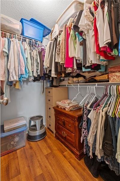 spacious closet featuring light hardwood / wood-style floors