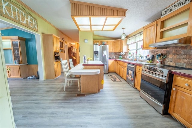 735 Hale Rd, Maysville, GA 30558 - kitchen featuring stainless steel appliances, under cabinet range hood, backsplash, lofted ceiling, and a kitchen island