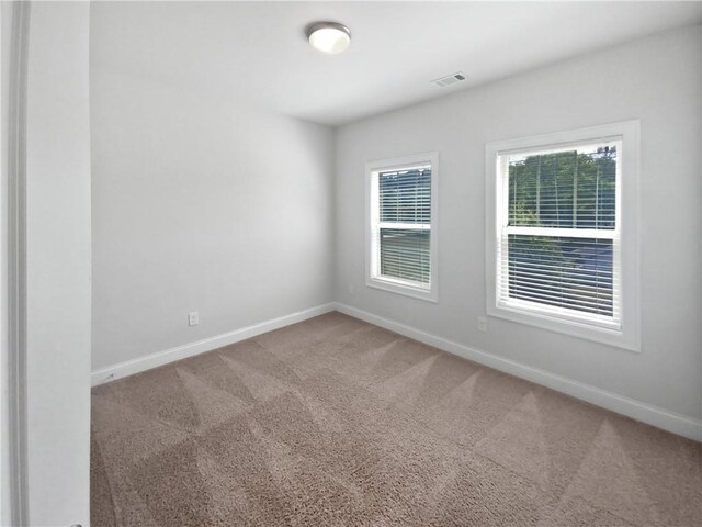 carpeted empty room featuring a wealth of natural light