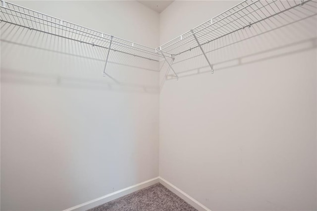 walk in closet featuring carpet