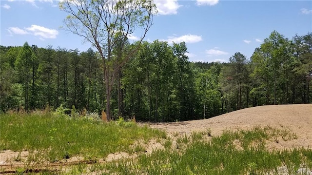 1315 Davis Rd W, Fairmount GA, 30139 land for sale