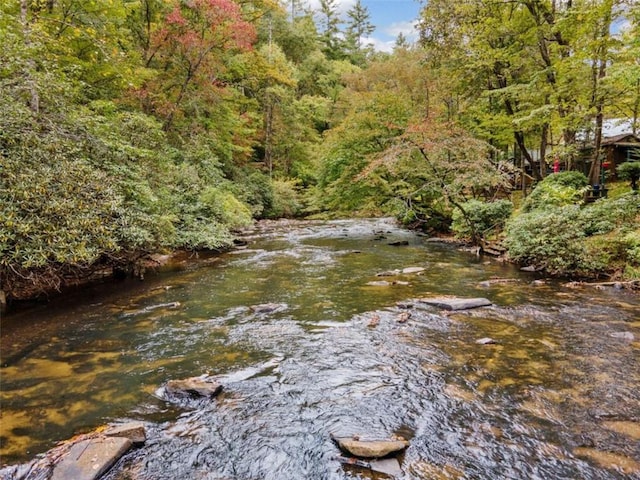 view of local wilderness