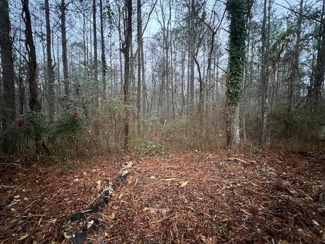 78 Bonds Ct, Hiram GA, 30141 land for sale