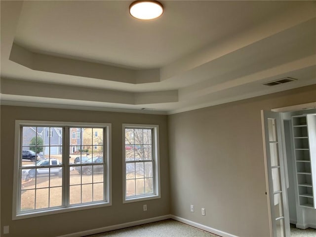 spare room with a raised ceiling and light carpet