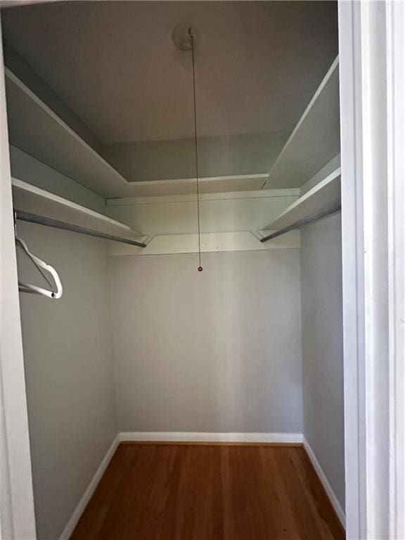 walk in closet featuring wood finished floors