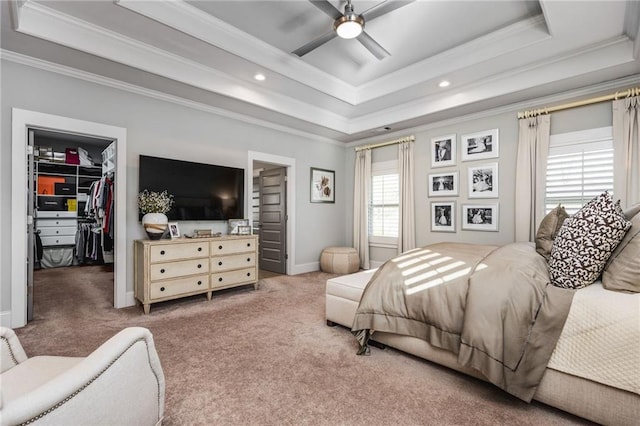 carpeted bedroom with ceiling fan, a spacious closet, a closet, and a tray ceiling