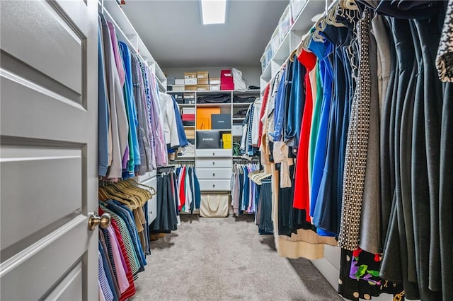 walk in closet with light colored carpet