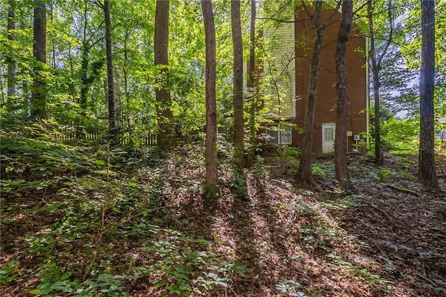 402 John Tate Rd NW, Acworth, GA 30102 - view of tree filled area