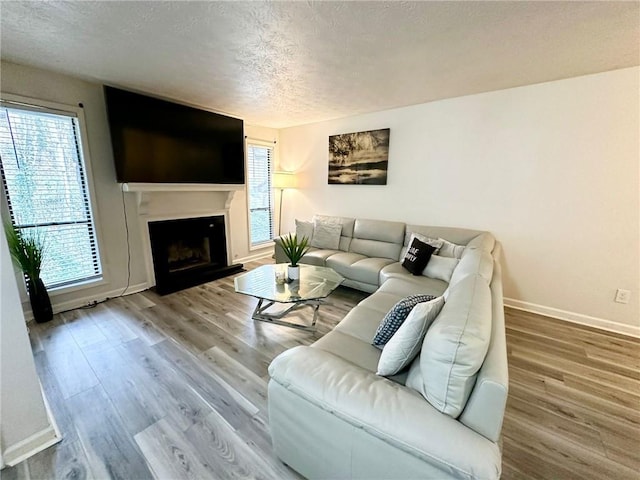 living room with wood-type flooring and a textured ceiling