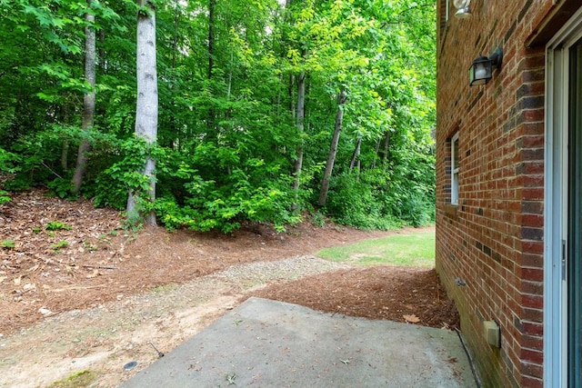 view of yard with a patio area