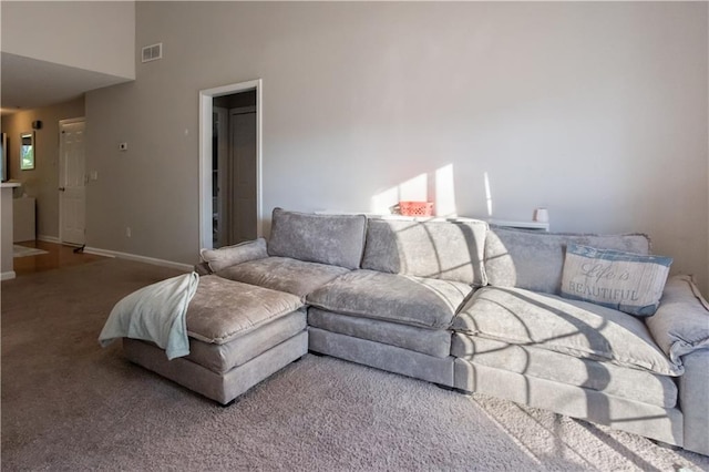210 Cottonwood Creek Cir, Canton, GA 30114 - carpeted living room featuring baseboards and a high ceiling