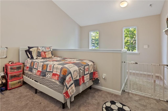 210 Cottonwood Creek Cir, Canton, GA 30114 - carpeted bedroom featuring vaulted ceiling and baseboards