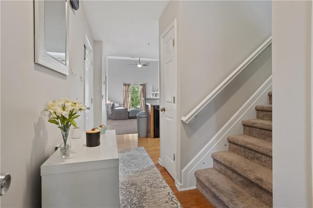 210 Cottonwood Creek Cir, Canton, GA 30114 - foyer entrance featuring stairway, light wood-style floors, and a ceiling fan