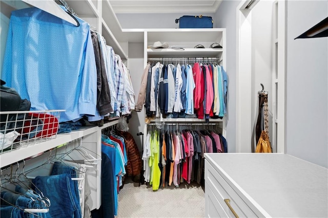 11 York Trce, Cartersville, GA 30121 - spacious closet with light colored carpet