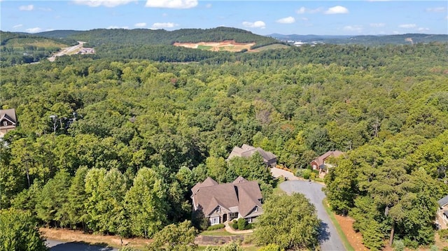 11 York Trce, Cartersville, GA 30121 - view of property location with property parcel outlined