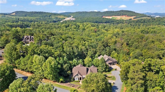 11 York Trce, Cartersville, GA 30121 - aerial overview of property's location with a forest